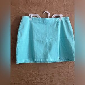 Mint Green Skirt Size 16 Nwot